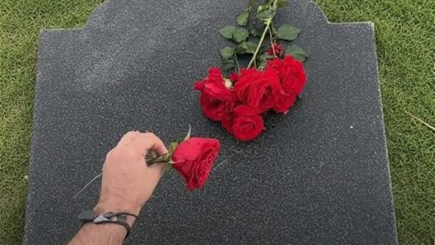 Mano robando flores rojas de una lápida en el cementerio.