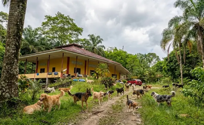 Establecimiento Fundación La Manada en Florencia