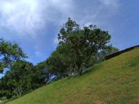 Hacienda La Bonita Paradise - Arboles Frutales Ladera