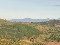 Hacienda La Bonita Paradise - Paisaje Cultivos Cafeteros Montanas